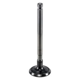 Exhaust/Intake Valves - S1976